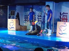 -邯郸海洋世界