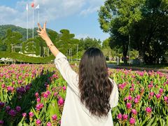 -东南花都花博园