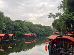 -侨美·唐荔园·40年地道粤菜