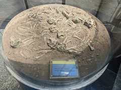 -房山世界地质公园博物馆