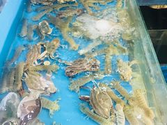 水产区-晓琦农家菜馆·地道农家菜