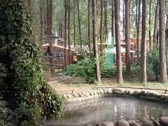 -林间山庄