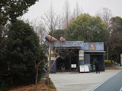 -南翔镇银翔湖公园