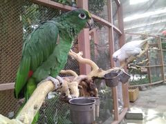 -南宫五洲植物乐园