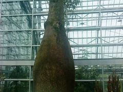 -南山植物园