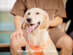 -趣玩宠物乐园寄养训犬训狗游泳池