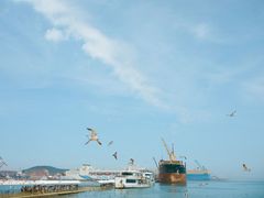 -海驴岛(荣成市)