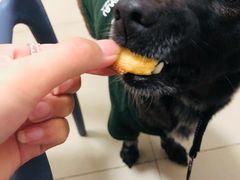 -中关村茶点