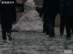 -上海市位育初级中学