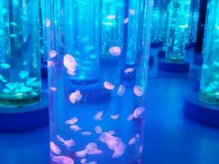 -梦幻海洋王国(吾悦广场张家港店)
