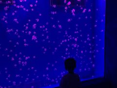 -苏州海洋馆