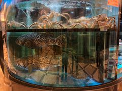 -金翠皇宫粤菜·点心·海鲜(科技园店)