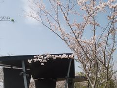 -澹台湖公园