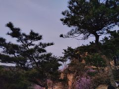 -青岛大珠山景区