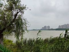 -金银湖国家城市湿地公园