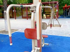 -大兴滨河森林公园