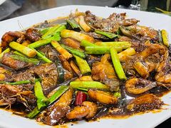 -张桥杨记羊肉饭店