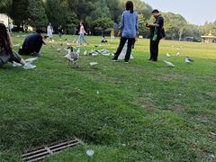 -银树楼(紫玉山庄东区店)