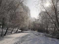 -长白岛森林公园