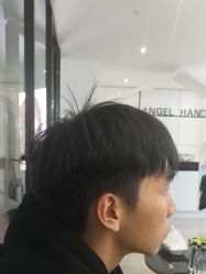 -天使之手