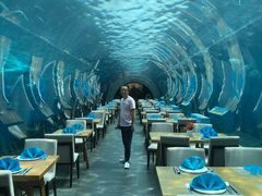 -海棠湾洲际-涛·海底餐厅·美人鱼·自助餐·海底隧道