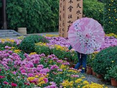 -中国翰园碑林