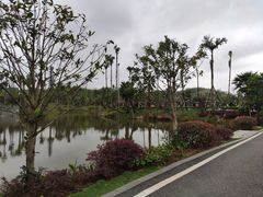 -枫香湖儿童公园