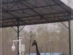 -秦皇岛野生动物园