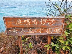 -杨梅坑