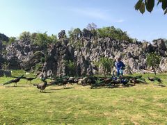 -千岛湖石林