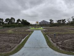 -春花秋色城市公园