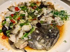鲜花椒蒸龙趸鱼-任兴记(定西路店)