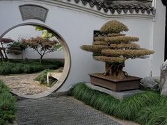 -绮园景区