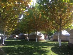 -九十九顶毡房(阜石路店)