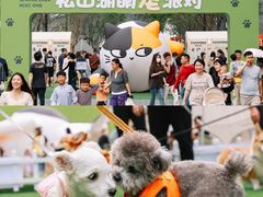 -东莞松山湖万象汇