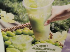 -茶百道(呼家楼店)