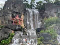-金鸡山公园