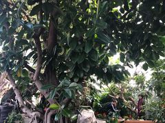-北京植物园-展览温室
