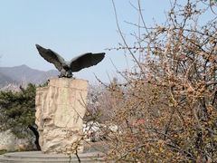 -北京鹫峰国家森林公园