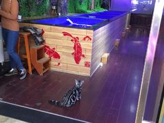 -山东柏宁水族批发广场