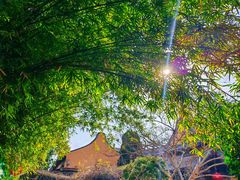 -龙华素斋(龙华路店)