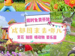 -秀丽东方