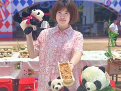 -灵玲国际马戏城