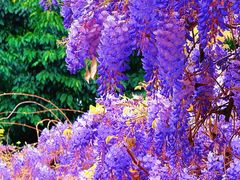 -西南交通大学(九里校区)