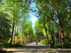 -长春公园(普阳街道)