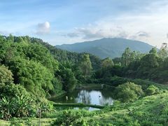 -天强农家菜馆