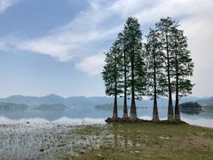 -四明湖