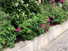 -Ms.Pilates 普拉提技术(尚悦湾陆家嘴店)
