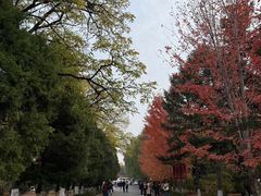 -辽宁大学(崇山校区)