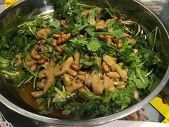 -石岐乳鸽村(南海第三分店)